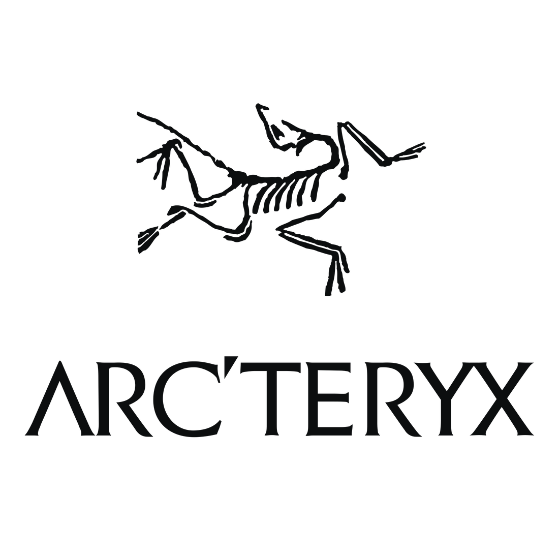 Arc'teryx On Me We Don't Rock No Patagonia